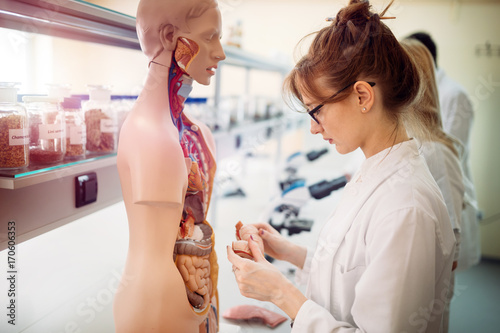 Stampa su Tela  Student of medicine examining anatomical model in lab