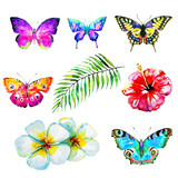 Fototapeta Motyle - beautiful set of flawers and butterflies, watercolor,isolated on a white