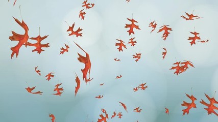 Wall Mural - Flying and rotating red oak leaves over blue blurred sky. Autumn, fall background. Slow motion, close-up HD realistic 3D animation.