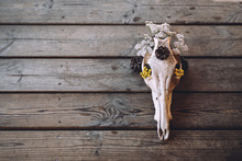 Still Life Of Decorated Skull