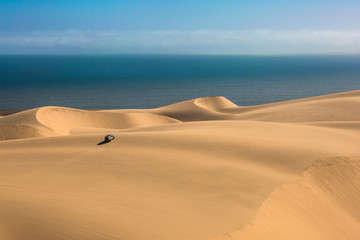 Poster -  Gorgeous ocean coast