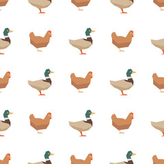 Wall Mural - Ducks and chickens seamless pattern