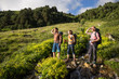 © lkoimages - Hiking in beautiful mountains. Group of hikers enjoy the weather