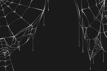 Wall Mural - white spiderweb on black background