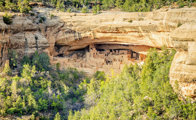 Wall Mural - Anasazi buildings in Mesa Verde National Park, Colorado, USA