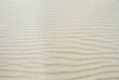 Pattern of ripples in sand, caused by wind