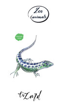Lizard Gecko In Watercolor
