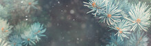 Snow Fall In Winter Forest. Christmas New Year Magic. Blue Spruce Fir Tree Branches Detail. Banner Image