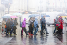 People Crossing Road During The Rain