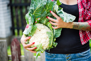 Tatooed millennials girl holding cauliflower in garden