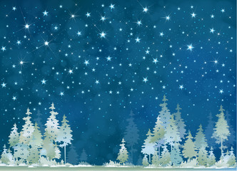 Wall Mural - vector winter night starry sky and forest background.
