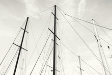 Masts Of Sailboat, Colorless