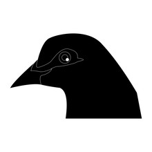 Bird Pigeon Head Animal Peace Icon Vector Illustration