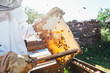 honey production and bees keeping