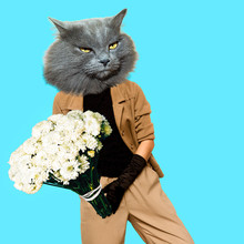 Gentleman Cat. Vintage Clothing. Art Collage. Minimal Fun