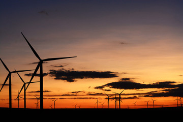 Wall Mural - Wind farm silhouette at dusk