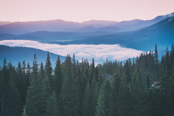foggy morning landscape with mountain range and fir forest in hipster vintage retro style