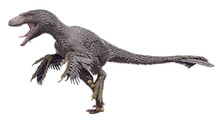 3D Rendering Of A Dakotaraptor Isolated On A White Background.