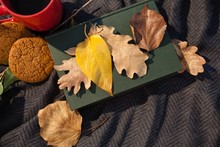 Black Coffee, Cookies, Diary And Autumn Leaves On Woolen Blanket