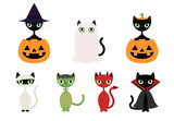 Fototapeta Koty - Black cats in Halloween costumes
