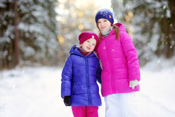 Two adorable little girls having fun together in beautiful winter park. Beautiful sisters playing in a snow.