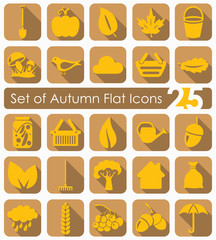 Wall Mural - Set of autumn icons