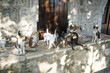 © gheturaluca - Greek cats from Lefkada island. The feline friends are all over Greece just waiting to snap up a tid-bit under the taverna table or find a shady spot to snooze all day...its a cat's life...