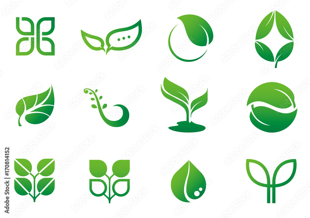 leaf icon logo set - obrazy, fototapety, plakaty 