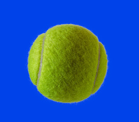 Wall Mural - New tennis ball  isolated on blue