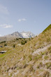 Zermatt, Wallis, Alpen, Wellenkuppe, Ober Gabelhorn, Dent Blanche, Findeln, Weiler, Alm, Bergbauer, Sunnegga, Wanderweg, Sommer, Schweiz