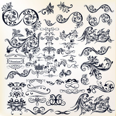 Wall Mural - calligraphic vector vintage design elements and page decorations