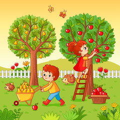 Boy and girl collect fruit harvest. Vector illustration with children that collect apples and pears in a cartoon style.