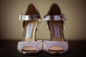 High Heels Glammour Luxury Shoes