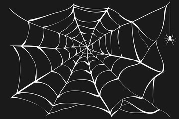 Wall Mural - white cobweb and spider on black background