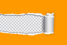 Vector Realistic Illustration Of Orange Torn Paper With Rolled Edge On Transparent Background