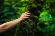 © LoloStock - Woman resting her hand on a tree in the forest
