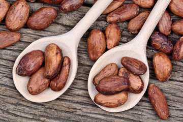 Wall Mural - Cocoa beans in a wooden spoons on table