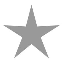 Isolated Gray Star Icon, Ranking Mark