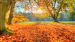 © Jag_cz - Beautiful colored trees in autumn, landscape photography