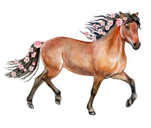 A Brown Horse With A Flowering Mane. Flowers And A Horse. Watercolor. Illustration