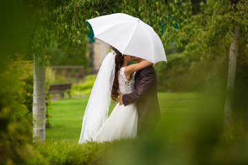 Wall Mural - bride and groom kissing under the cover of an umbrella in the park.