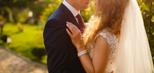 couple hugging, the bride and groom hug in the park