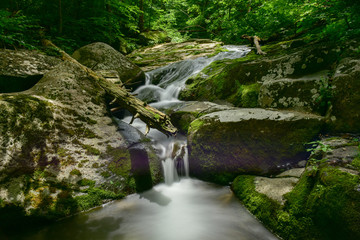 Shenandoah National Park - Virginia