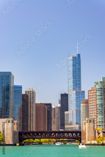 Plakat Downtown Chicago Vertical View