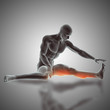 3D male figure in seated stretch pose