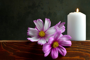 White burning candle and flowers