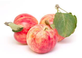 fresh apple isolated on white background