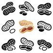 Peanut icon collection - vector outline and silhouette