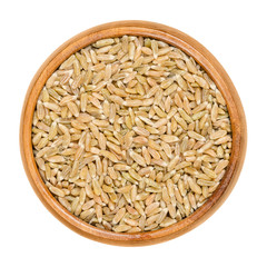 Wall Mural - Whole grain green spelt in wooden bowl. Husked, dried half ripe spelt. Green kernel. Seeds of Triticum spelta, also dinkel wheat or hulled wheat. Macro food photo close up from above over white.