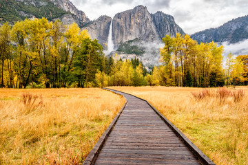 Wall Mural - Meadow with boardwalk in Yosemite National Park Valley at autumn